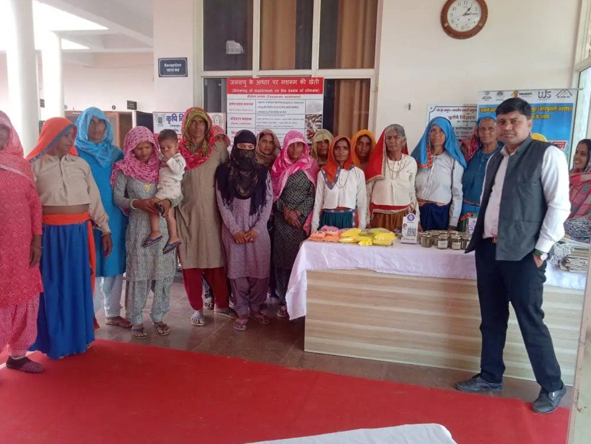 Health & Education Services